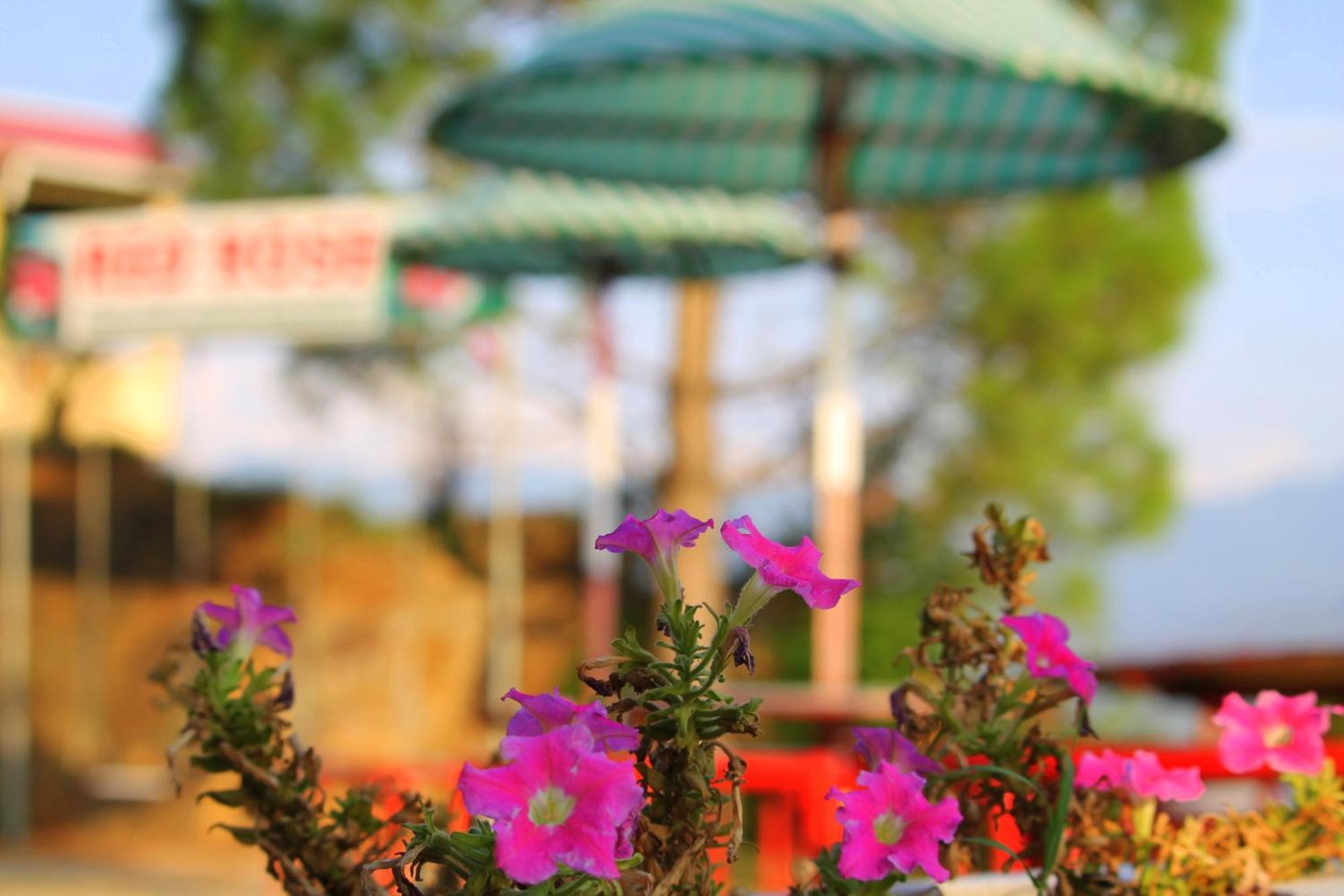 Red Rose Hotel & Resort Mansehra Exterior foto